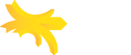 E.E.T.S